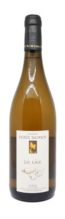 Domaine Patrick Baudouin - Les Gâts 2015